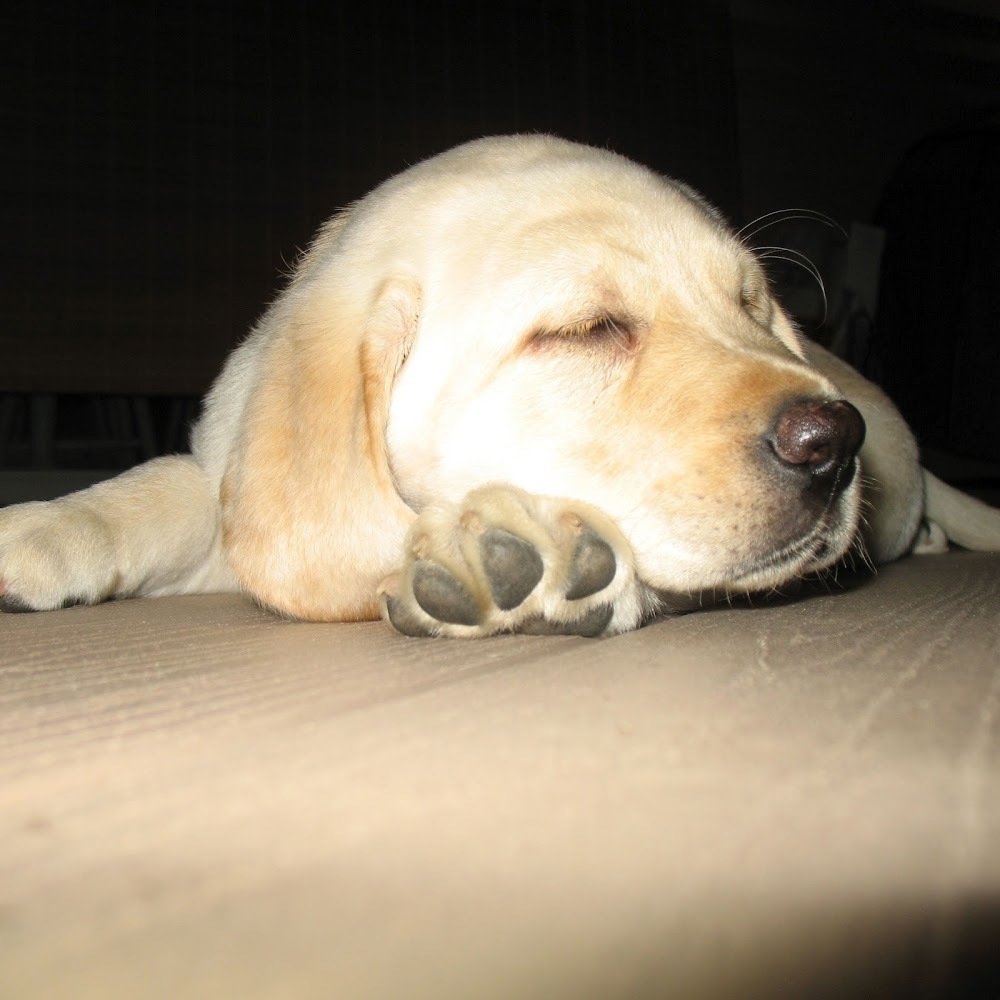 Meet your Posher, Kelli